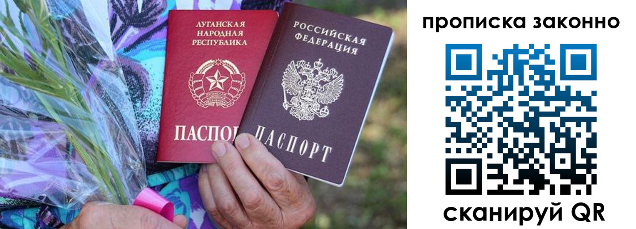 прописка для школы в Торопеце
